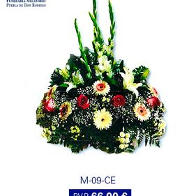 Tanatorio Piedrabuena - Porzuna flores y rosas